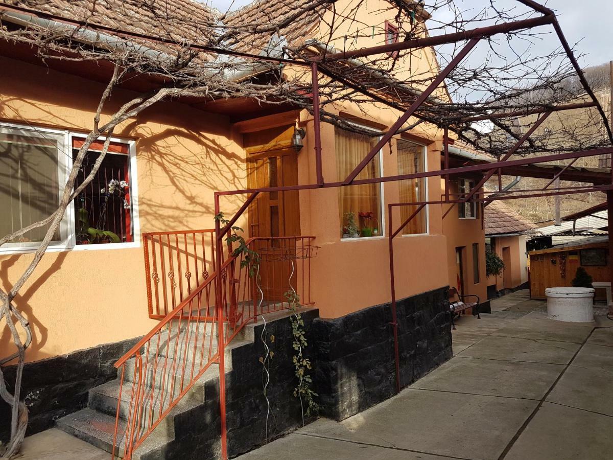Casa De Oaspeti Morii 22 Malancrav Eksteriør billede